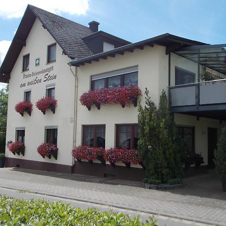 Gaestehaus "Am Weissen Stein" Cochem Exterior photo